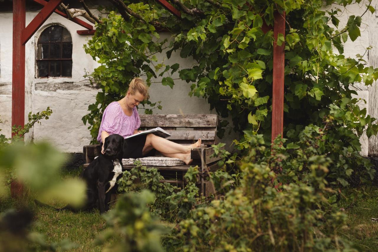 Dambaekgaard Sustainable Farm Villa Harlev  Exterior photo