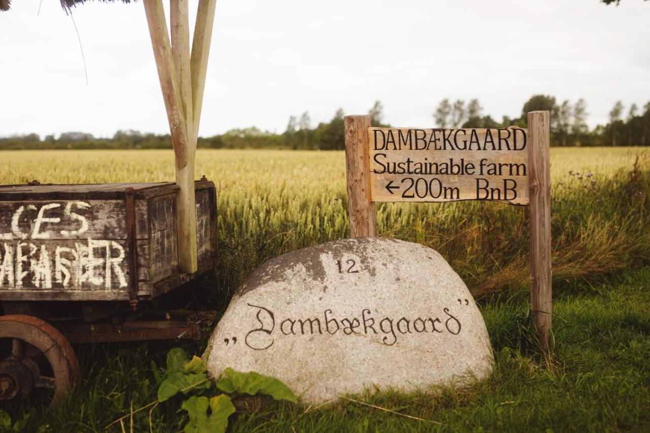 Dambaekgaard Sustainable Farm Villa Harlev  Exterior photo